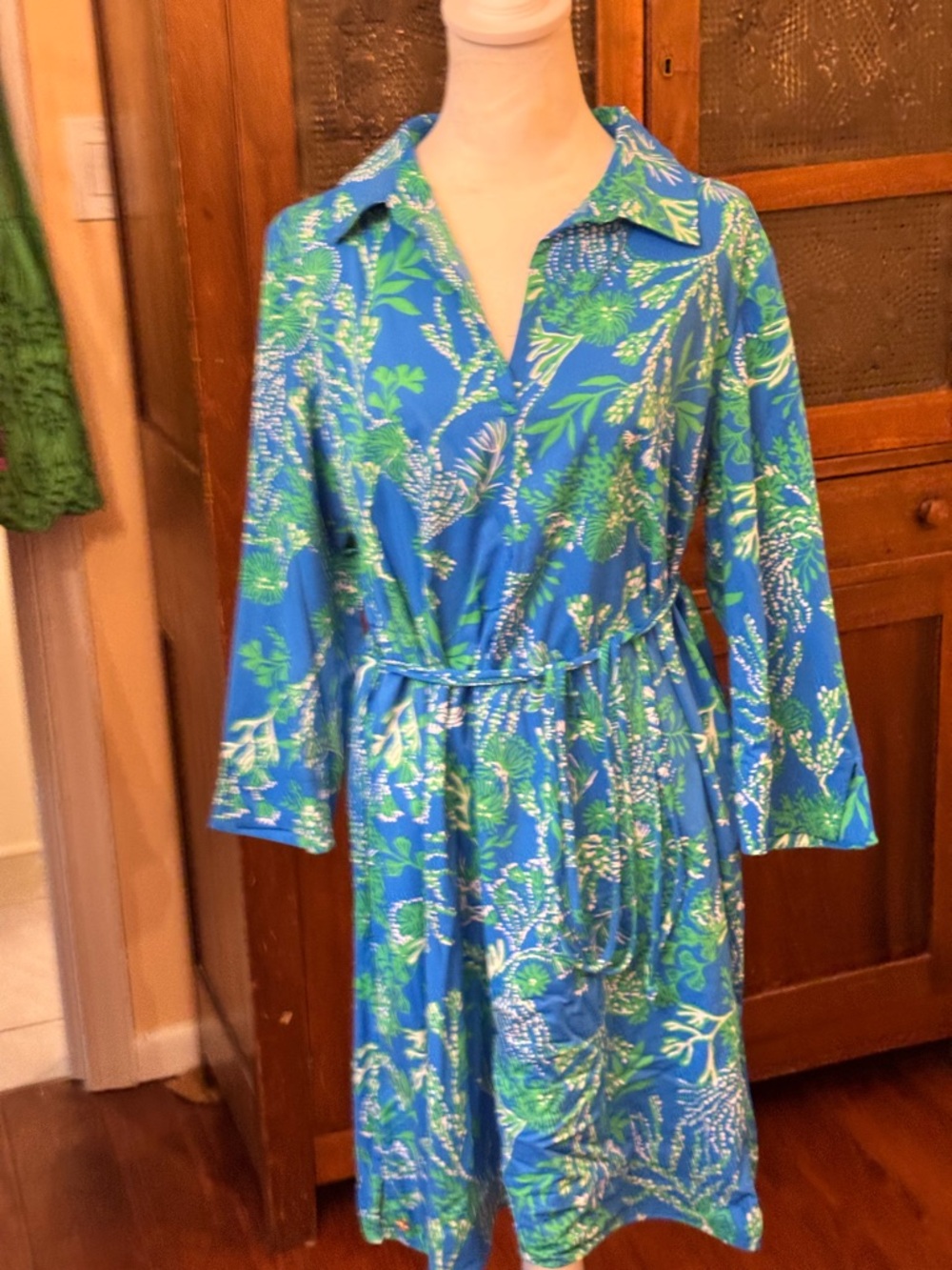 Lilly Pulitzer UPF 50+ Dress in “Briny Blue a Bit Salty” Print Sz L NWOT - Picture 3 of 13